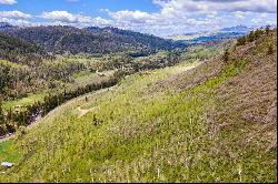 56255 Zirkel View Lane,Clark, CO, 80428