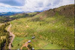 56255 Zirkel View Lane,Clark, CO, 80428