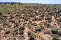 Spacious Lot with Mountain View Front and Back