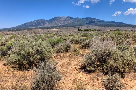 Spacious Lot with Mountain View Front and Back