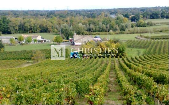 Family vineyard for sale: 13.5 hectares in the heart of the Libourne region