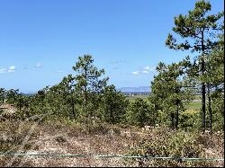 Premium plot with excellent location in Comporta Retreat