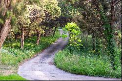 Cedar Hill Farm