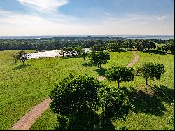 Cedar Hill Farm