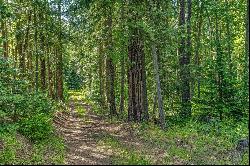 Legacy Land Forested Acreage