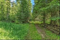 Legacy Land Forested Acreage