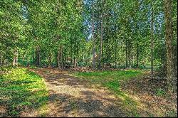 Legacy Land Forested Acreage