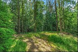 Legacy Land Forested Acreage