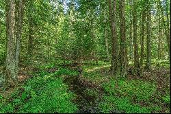 Legacy Land Forested Acreage