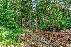 Legacy Land Forested Acreage