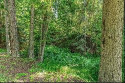 Legacy Land Forested Acreage