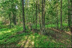 Legacy Land Forested Acreage