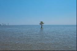 WATERFRONT BEAUTY ON OSPREY DRIVE