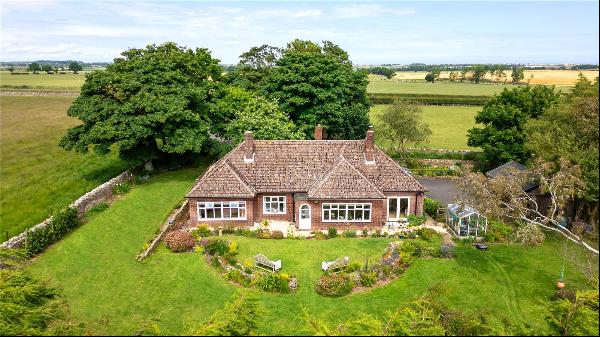 The Trees, Beadnell, Chathill, NE67