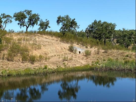 Excellent 15.6 hectares, Land Plot, Porto Covo, Alentejo