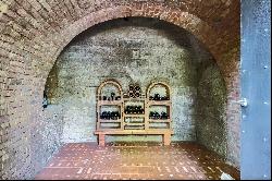 Lugano-Gentilino: two wonderful wine cellars & a rustico for sale