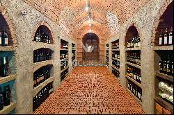 Lugano-Gentilino: two wonderful wine cellars & a rustico for sale