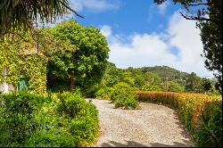 Druid Lodge, Killiney Hill Road, Killiney, Co Dublin