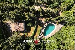 CASTLE FOR SALE IN A PANORAMIC POSITION IN CHIANTI CLASSICO