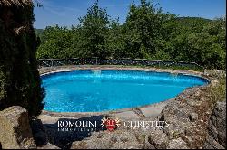 CASTLE FOR SALE IN A PANORAMIC POSITION IN CHIANTI CLASSICO