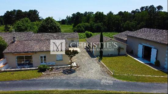 Lovely 3-hectare hobby vineyard - 1.75 ha of vines in AOC Côtes de Bordeaux