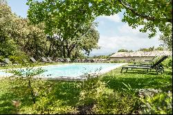 Luberon - Beautiful provençal home with long pool