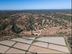 Estate 145 Hectares with Ruins