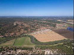 Estate 145 Hectares with Ruins