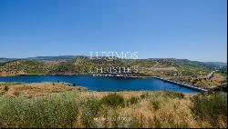 Sale: agricultural property in the region of Douro Superior, Portugal