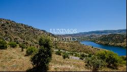 Sale: agricultural property in the region of Douro Superior, Portugal