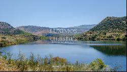 Sale: agricultural property in the region of Douro Superior, Portugal