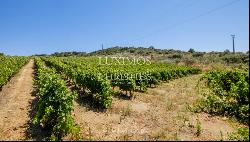 Sale: agricultural property in the region of Douro Superior, Portugal