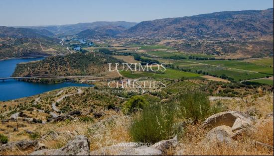 Sale: agricultural property in the region of Douro Superior, Portugal