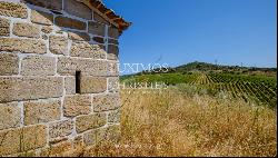 Sale: agricultural property in the region of Douro Superior, Portugal