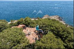 Cap d'Antibes - Unique 9 bedrooms property