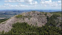 Plot with ruin, for sale, in Monchique, Algarve