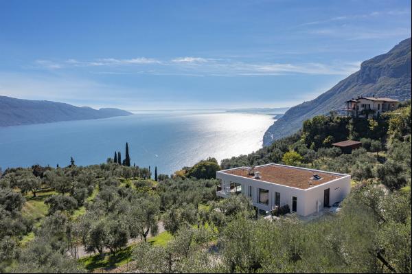 Prestigious Villa immersed in the green of an olive grove