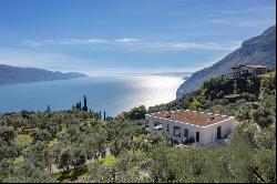 Prestigious Villa immersed in the green of an olive grove