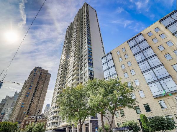 1300 N Lake Shore Drive 20AB