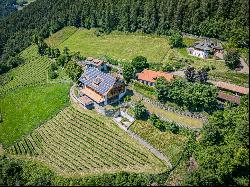 SOUTH TYROL, STATELY EQUESTRIAN FARM WITH VINEYARDS AND STYLISH CHALET