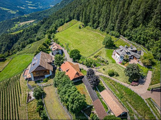 SOUTH TYROL, STATELY EQUESTRIAN FARM WITH VINEYARDS AND STYLISH CHALET