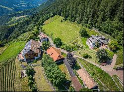 SOUTH TYROL, STATELY EQUESTRIAN FARM WITH VINEYARDS AND STYLISH CHALET