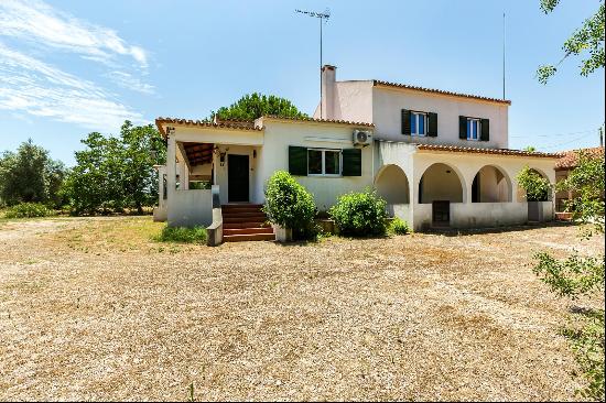 4 Bedroom Farm, Abrantes