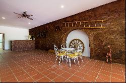 4 Bedroom Farm, Abrantes