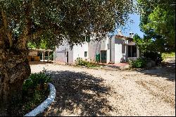 4 Bedroom Farm, Abrantes