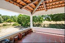 4 Bedroom Farm, Abrantes