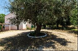 4 Bedroom Farm, Abrantes