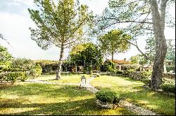 Charming Provencal mas near Isle-sur-la-Sorgue