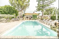 Charming Provencal mas near Isle-sur-la-Sorgue