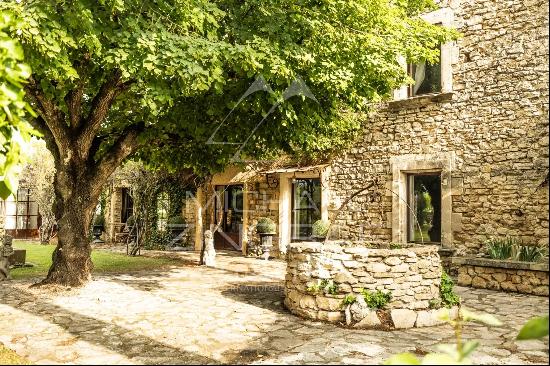 Charming Provencal mas near Isle-sur-la-Sorgue